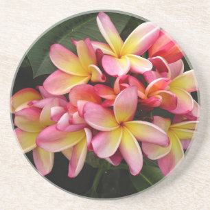 Roze en gele Tropische Plumeria Flowers Zandsteen Onderzetter