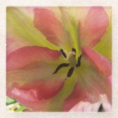 Roze en gele Tulip Glazen Onderzetter (Voorkant)