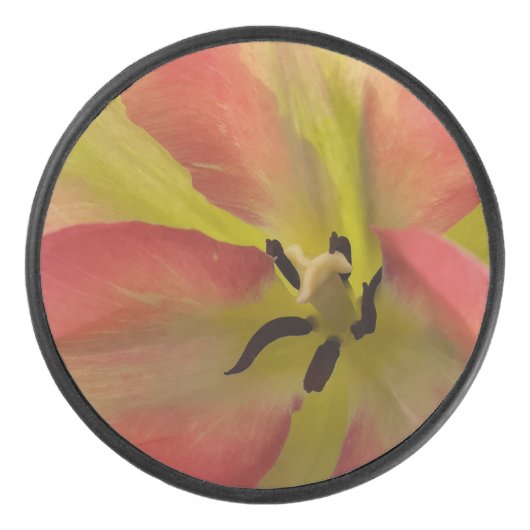 Roze en gele Tulip Hockey Puck (Voorkant)
