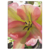 Roze en gele Tulip Klembord (Achterkant)