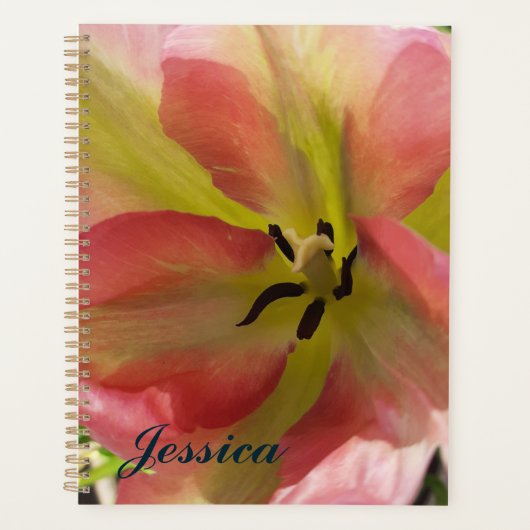 Roze en gele Tulip Planner (Voorkant)
