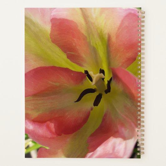 Roze en gele Tulip Planner (Achterkant)