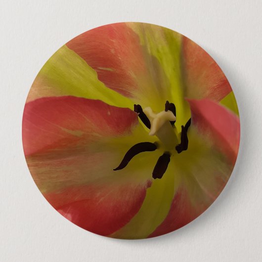 Roze en gele Tulip Ronde Button 4,0 Cm (Voorkant)