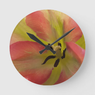 Roze en gele Tulip Ronde Klok