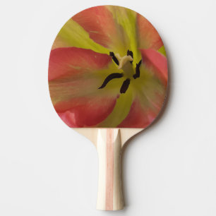Roze en gele Tulip Tafeltennisbatje
