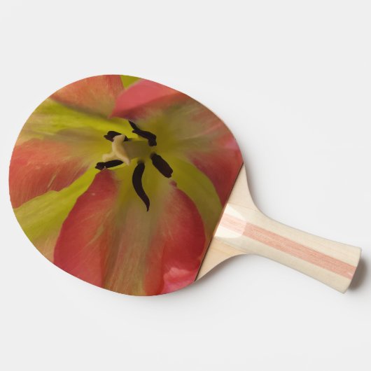 Roze en gele Tulip Tafeltennisbatje (Zijkant)