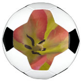 Roze en gele Tulip Voetbal (Gedraaid)