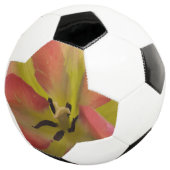 Roze en gele Tulip Voetbal (Drie kwart)