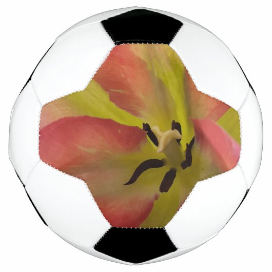 Roze en gele Tulip Voetbal (Voorkant)