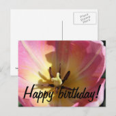 Roze en gele tulp briefkaart (Voorkant / Achterkant)