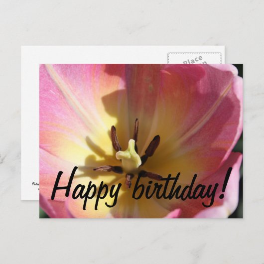 Roze en gele tulp briefkaart (Voorkant / Achterkant)