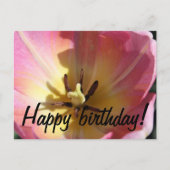 Roze en gele tulp briefkaart (Voorkant)