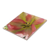 Roze en gele Tulp keramische Tegel Tegeltje (Zijkant)