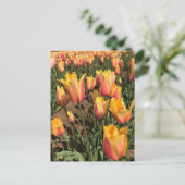 Roze en gele tulpen briefkaart (Staand voorkant)