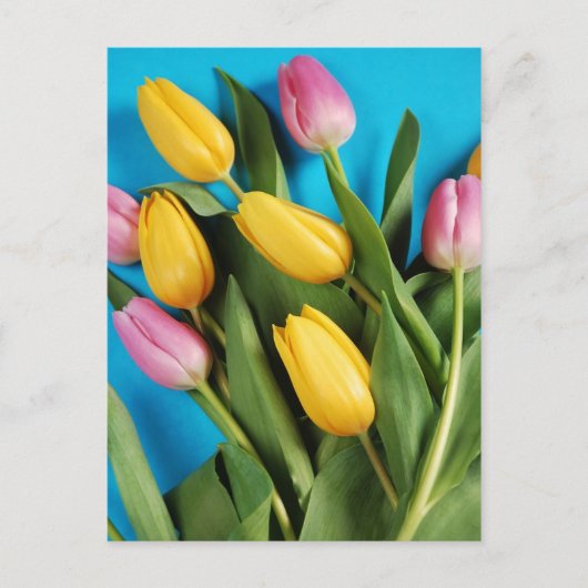 Roze en gele tulpen briefkaart (Voorkant)