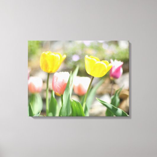 Roze en gele Tulpen Canvas Afdruk (Voorkant)