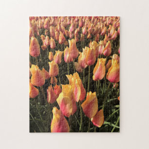 roze en gele tulpen legpuzzel