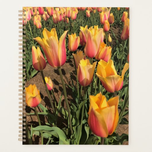 Roze en gele tulpen planner (Voorkant)