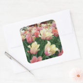Roze en gele tulpen vierkante sticker (Envelop)