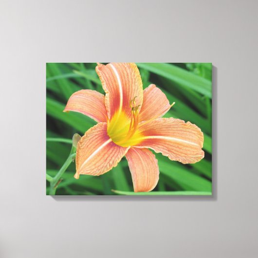 Roze en gele ventilator canvas afdruk (Voorkant)