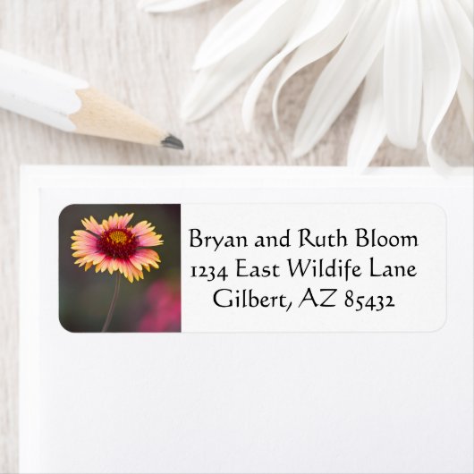 Roze en gele woestijn etiket (Insitu)