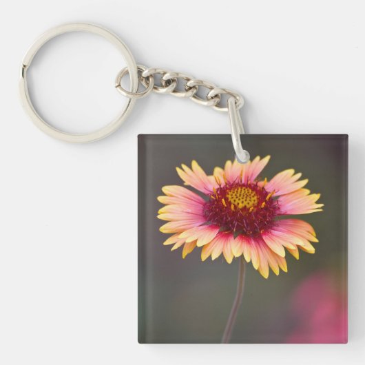 Roze en gele woestijn sleutelhanger (voorkant)
