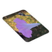 Roze en gouden glans Morning Glory Magneet (Rechterzijde)