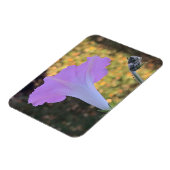 Roze en gouden glans Morning Glory Magneet (Linkerzijde)