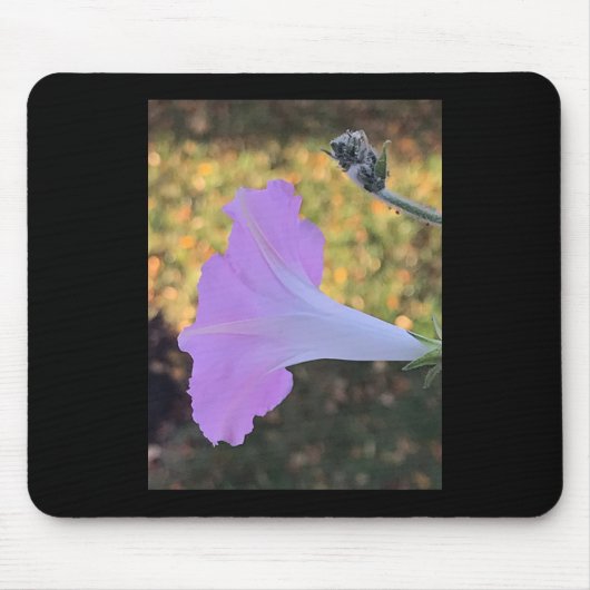 Roze en gouden glans Morning Glory Muismat (Voorkant)