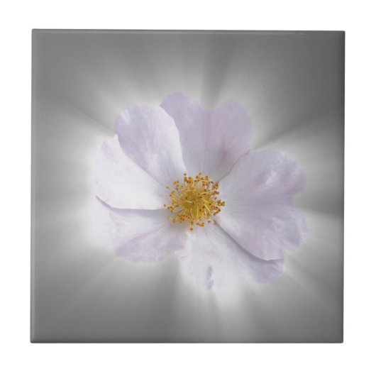 roze en grijs tegeltje (Voorkant)