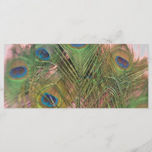 Roze en Grijze Pauw Wedding Programma Programmakaart (Achterkant)