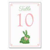 Roze en groene Baby shower van de bunnenlente van  Kaart (Achterkant)