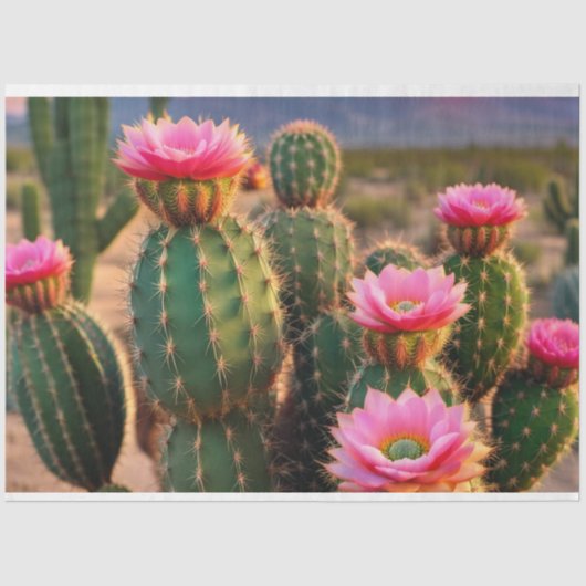 Roze en Groene Cactus Decoupage Paper Arizona Tissuepapier (Voorkant)