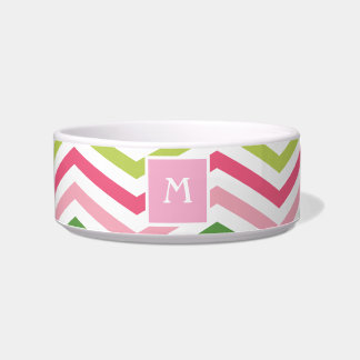 Roze en groene Chevron | Monogram Cat Dish Voerbakje