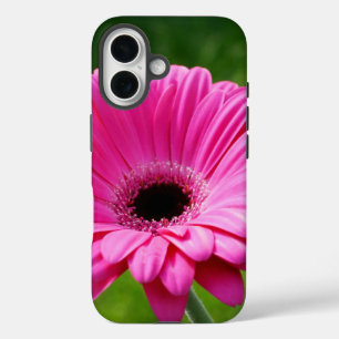 Roze en groene Gerbera Daisy iPhone 16 Hoesje