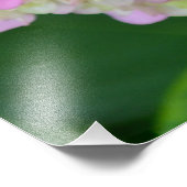 Roze en groene hydrangea foto afdruk (Hoek)