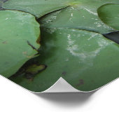 Roze en groene Lily Pad Vloer met Bijbelverse Poster (Hoek)