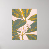 Roze en groene palmrond Botanische tekening Canvas Afdruk (Voorkant)