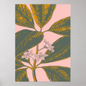 Roze en groene palmrond Botanische tekening Poster (Voorkant)