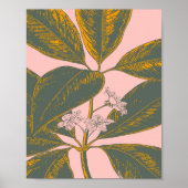 Roze en groene palmrond Botanische tekening Poster (Voorkant)