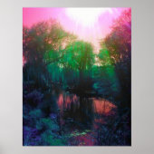 Roze en Groene Pond en Willow Poster (Voorkant)