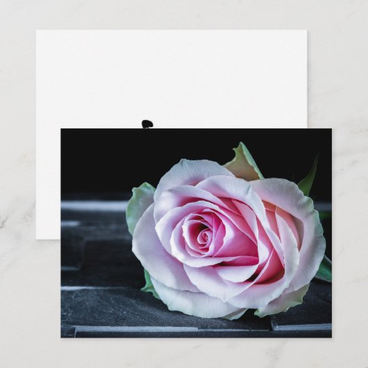 Roze en groene rozen kaart (Voorkant / Achterkant)