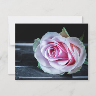 Roze en groene rozen kaart