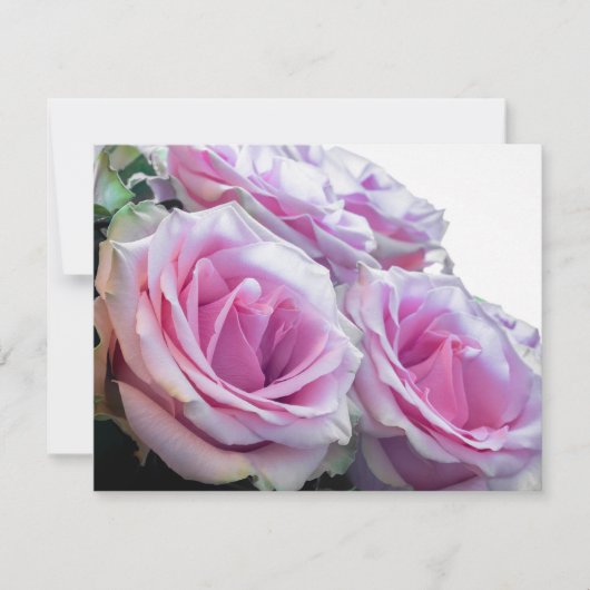 Roze en groene rozen kaart (Voorkant)