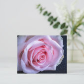 Roze en Groene Rozen Kaart (Staand voorkant)