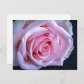 Roze en Groene Rozen Kaart (Voorkant / Achterkant)