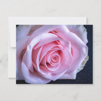 Roze en Groene Rozen Kaart