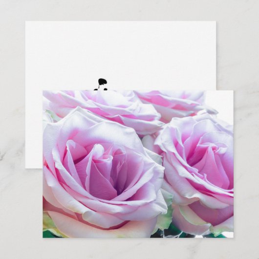 Roze en groene rozen kaart (Voorkant / Achterkant)