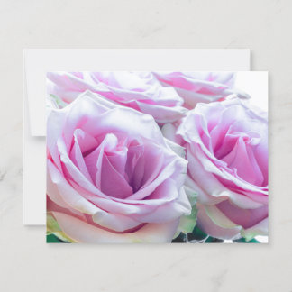 Roze en groene rozen kaart