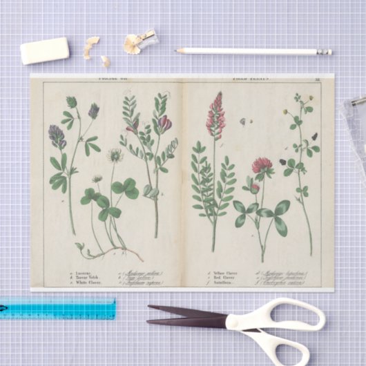 Roze en Groene Wildflower Tissuepapier (Craft)